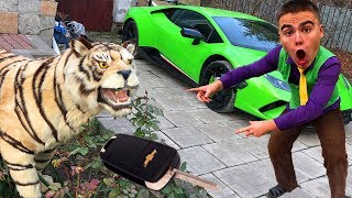 Tiger Vs Mr. Joe Found Car Keys In Tigers Mouth & Started Race On Lamborghini Huracan