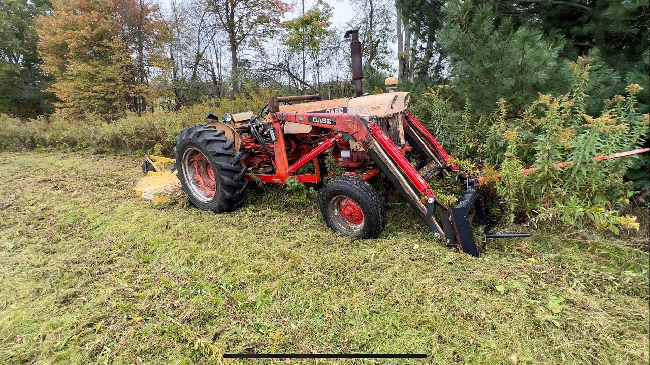 Especially smooths hay important field which