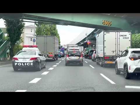 信号無視　黄色でアクセル踏んだら痛い目に！#緊急走行  #覆面パトカー  #警察24時  #パトカー  #白バイ