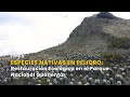 Especies Nativas en Peligro:Restauración Ecológica en el PNN Guanentá -TvAgro por Juan Gonzalo Angel