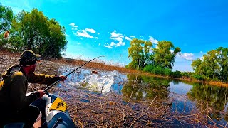 ПОЛЮВАННЯ НА САЗАНА 🐟 В ЗАТОПЛЕННОМУ ЛІСІ 🌳  КРУПНЯК ОДИН ЗА ОДНИМ! Рибалка 2024