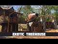 Exotic Treehouse