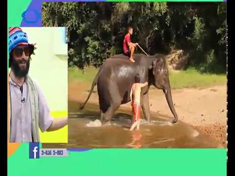 მოგზაურის ჩანაწერები - იბერია ტვ