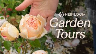 Heirloom™ Garden Tours: Marryns Garden