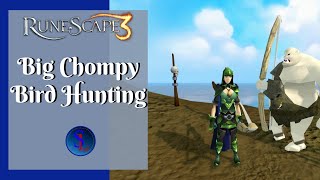 RS3 Big Chompy Bird Hunting Ironman Friendly QUICK Guide [Updated 2020]