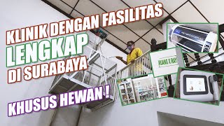 KUNJUNGAN KE KLINIK INDO SATWA INFORMATIF DAN FASILITAS LENGKAP BANGET... by Nextpets Channel 562 views 2 years ago 17 minutes