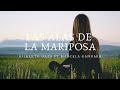 Las alas de la mariposa - Gilberto Daza ft Marcela Gandara (Letra)
