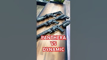 FX Dynamic vs FX Panthera: What’s Different? FX Dynamic Block | Panthera Compact Hunter AR Stock