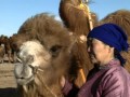 Coaxing ritual for camels