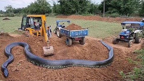JCB khudai work JCB 3dx Backhoe fully Loading Mud in Mahindra 475 #jcb #jcbvideo #farming