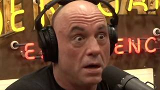 Joe Rogan: We've Been Lied To About Our Entire Past – Shocking Truth