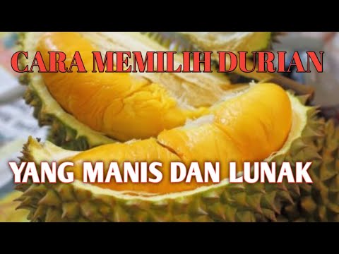 Video: Cara Memilih Marmalade Yang Betul