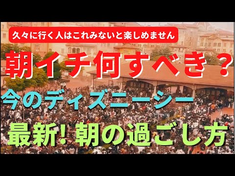 【ディズニーシー】朝イチ何すべき!? 最高な朝の回り方【第3弾】久々に行く人は見てください