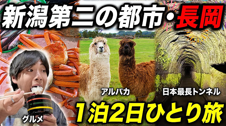 花火だけじゃない!! 新潟第二の都市『長岡』を全力で旅行！ガチで面白い
