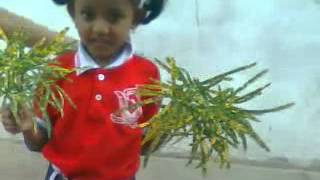 Sonu Sanjay Sreekuttan