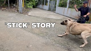 Ang Istorya Ng Stick Ng Supero