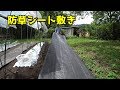 防草シート敷いてみた/雑草対策〔家庭菜園〕