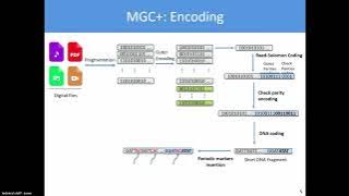 Novel Efficient Codes for Correcting Random Edit Errors in DNA Storage