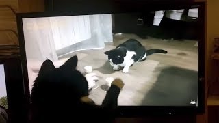 Wow! It's you!