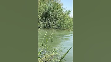 (ولاتقولوا لما تصف السنتكم الكذب هذا حلال وهذا حرام) للقارئ مصطفى النعيمي