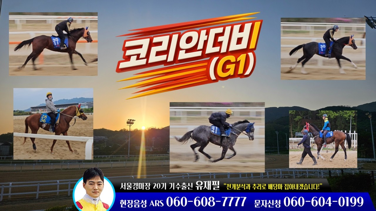 [2026년 제29회 코리안더비(G1)조교현장/유재필의 미.보.경] 미리 보는 경마~!