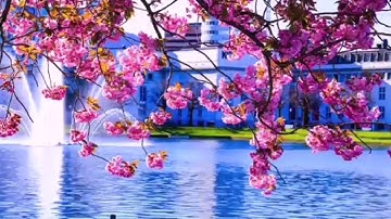 تلاوة رائعه ومؤثرة تنسيك الدنيا ((وعباد الرحمن الذين يمشون على الأرض هونا)) عبد الرحمن الحميداني