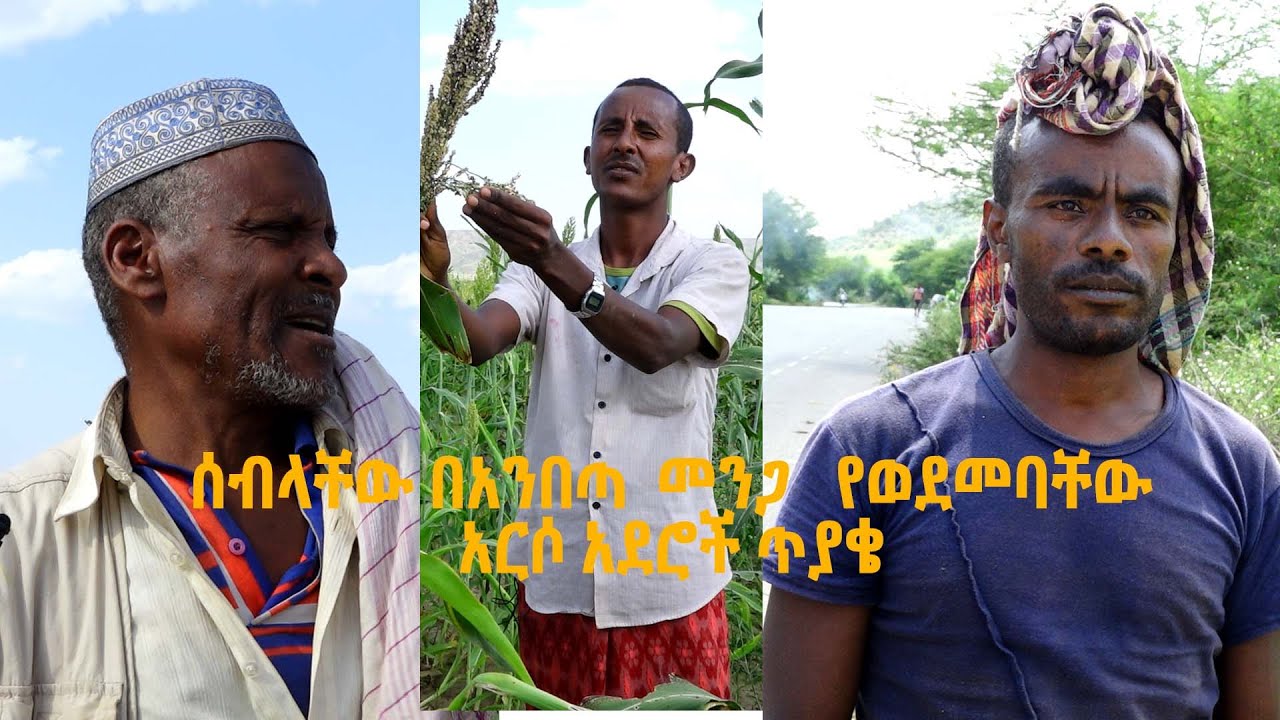 ሰብላቸው በአንበጣ መንጋ የወደመባቸው አርሶ አደሮች ጥያቄ @ArtsTvWorld