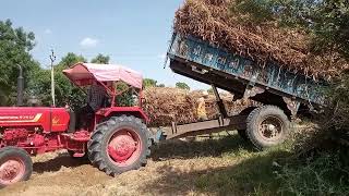 !! Real Tractor Trolley Farming Simulation Game !! Swaraj Tractor For Loading #tractorvideo #gaming screenshot 3