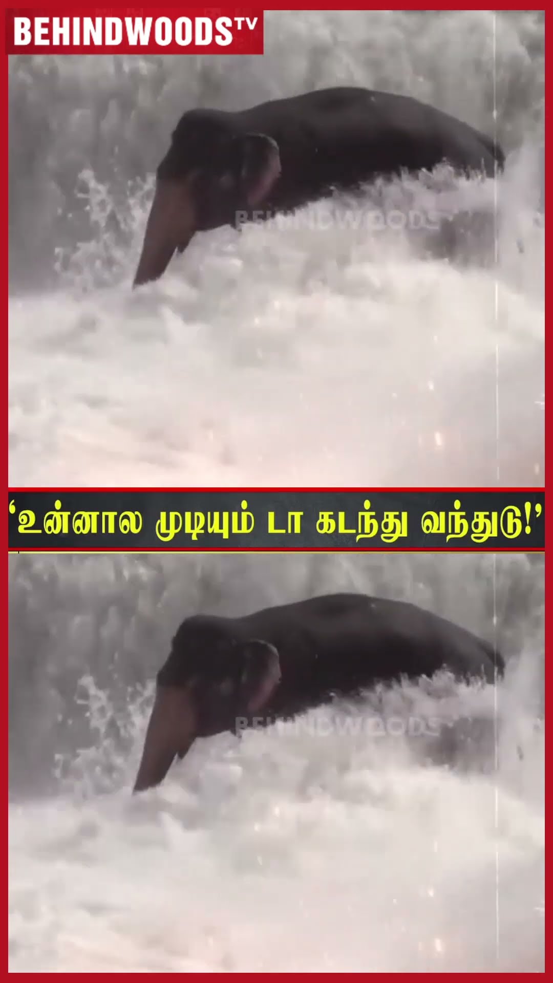 'செல்லமே உன்னால முடியும் எப்படியாவது வந்திடு..' ?? ஆற்றில் சிக்கிய குழந்தை ?
