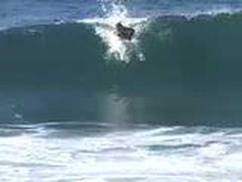 Grom Surfer-Kalani David-Surfing/Pl...  Surf Video...