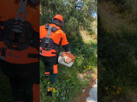 STIHL FS 261