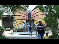 Bannurugatta Buterfly Park, Bangalore