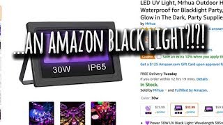 An amazon black light review?!?