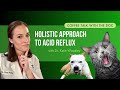 Holistic approach for acid reflux natural remedies to help your pet feel better