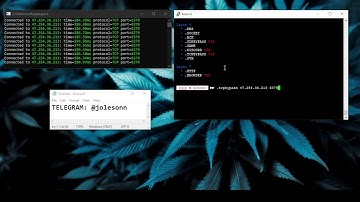 Clyde C2 L4 SHOWCASE | BEST C2/BOTNET/API 2025