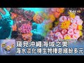 窺見沖繩海域之美 海水淡化機生物棲息繽紛多元｜FOCUS午間新聞 20240509 @TVBSNEWS01