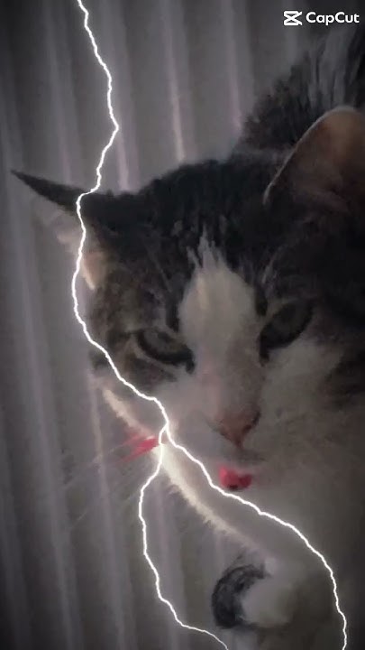 Avec le regard méchant 😂 YouTube Avec le regard méchant 😂 YouTube