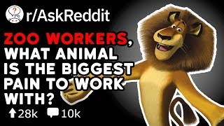 Zoo Workers, What Animal Is The Biggest JERK (Reddit Stories r/AskReddit)