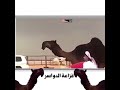 فزاعة الدواسر تصميم
