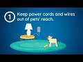 05/16/2024  VEA - Electrical Safety for Pets