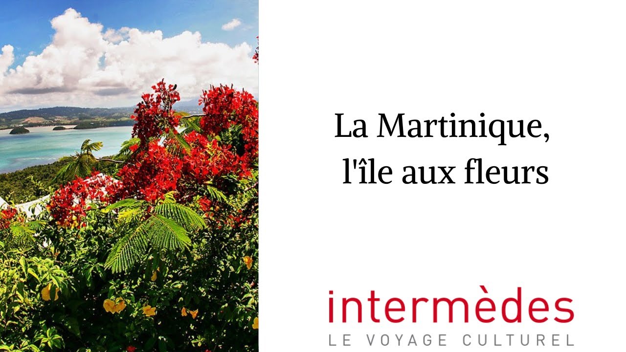 Les Fleurs de Martinique - Madinina l'île aux Fleurs