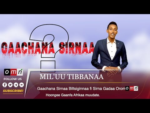 Ish barlarini puflash Uning mushukiga asoslangan qizning xarakteri