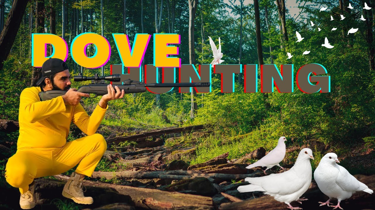 Testing New Air Rifle Dove Hunting with Gamo swarm maxxim YouTube