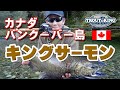 D8 カナダ バンクーバー島 キングサーモン