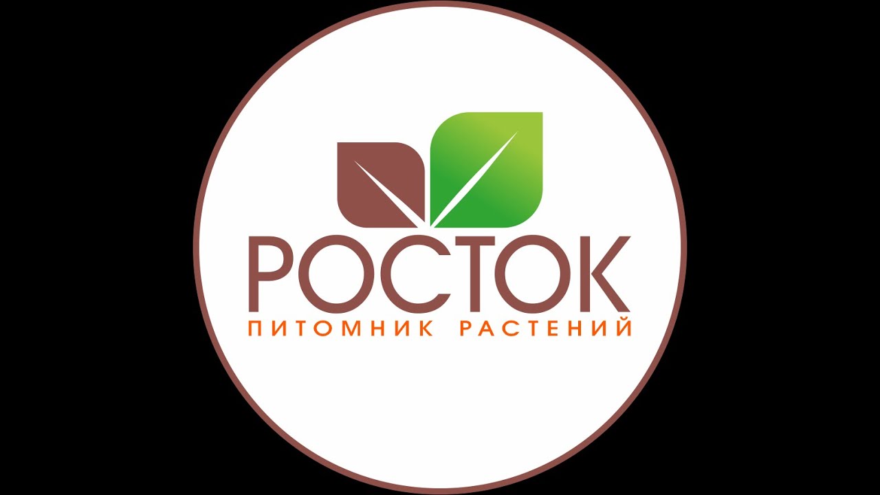 Сайт росток челябинск