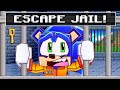 Sonic&#39;s PRISON LIFE in Minecraft!!