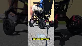 Golden Cricket Power Wheelchair