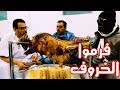 انعزمنا على خروف والعيال ماقصروا فرموه فرم 