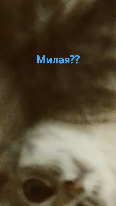 милая - YouTube