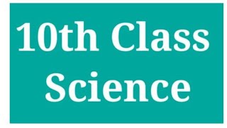 10th class science cbse sp 24-25 solution and mistakes of students